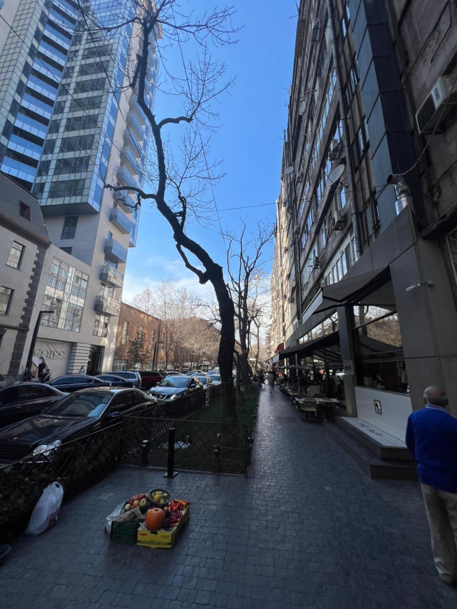 Guest House Northern Avenue Erivan Exterior foto